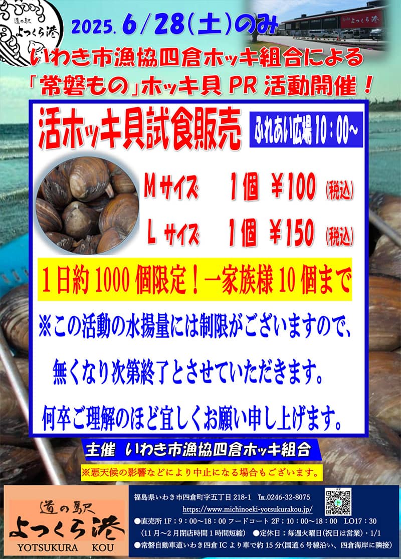 画像：活ホッキ貝試食販売のチラシ
